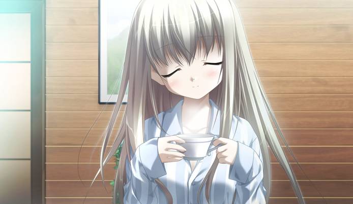 伊甸园galgame中文版