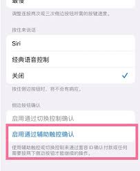 苹果手机如何关闭下载双击侧边按钮功能