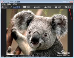 如何用ACDSee修改照片分辨率