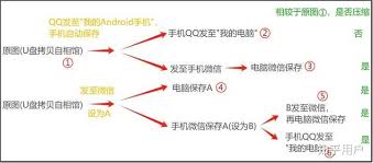 qq相册为什么没有原图选项