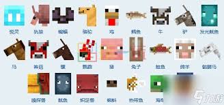 我的世界生物图鉴大全及介绍2026