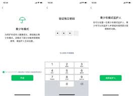 微信未成年模式监护人能干什么