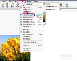 如何设置ACDSee图片关联格式