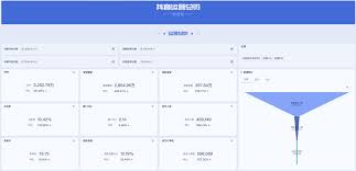 抖音网页版记录功能是什么