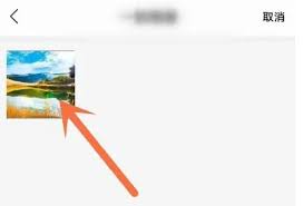 速读免费小说app如何修改主页背景