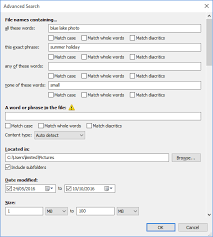 Everything如何设置搜索索引