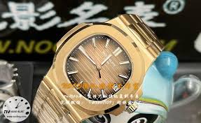 鹦鹉螺的腕手数量固定吗