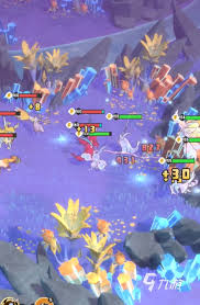 曙光重临红宠在哪