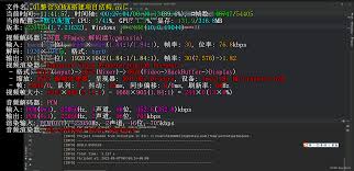 PotPlayer如何显示编码信息