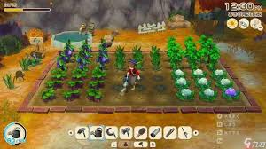 牧场物语如何在风之繁华集市前期培养6星农作物