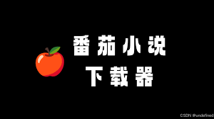 番茄免费小说下载的小说怎么导出为TXT