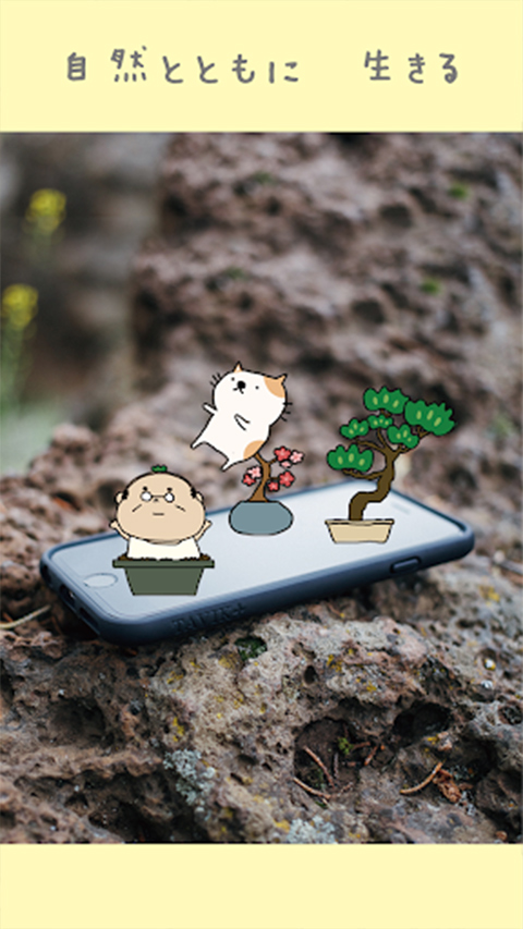 盆栽大师官方版