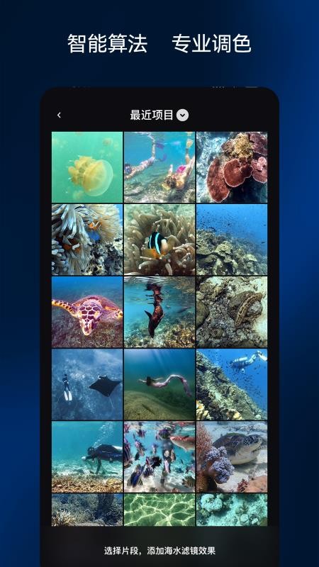 彩焦相机安卓版