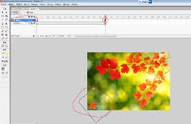 Macromedia Flash 8文件怎么导出