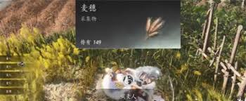 燕云十六声滹沱麦子相关成就如何达成