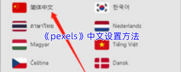 pexels如何设置中文