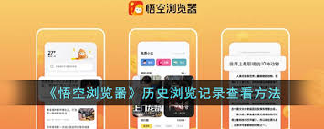 悟空浏览器如何查看历史记录