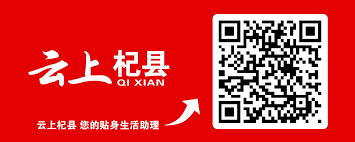 云上杞县如何查询小升初成绩