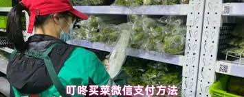 叮咚买菜如何使用微信付款