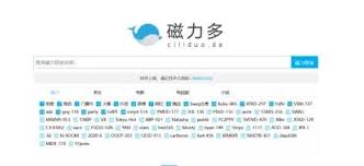 用什么搜索引擎找链接好