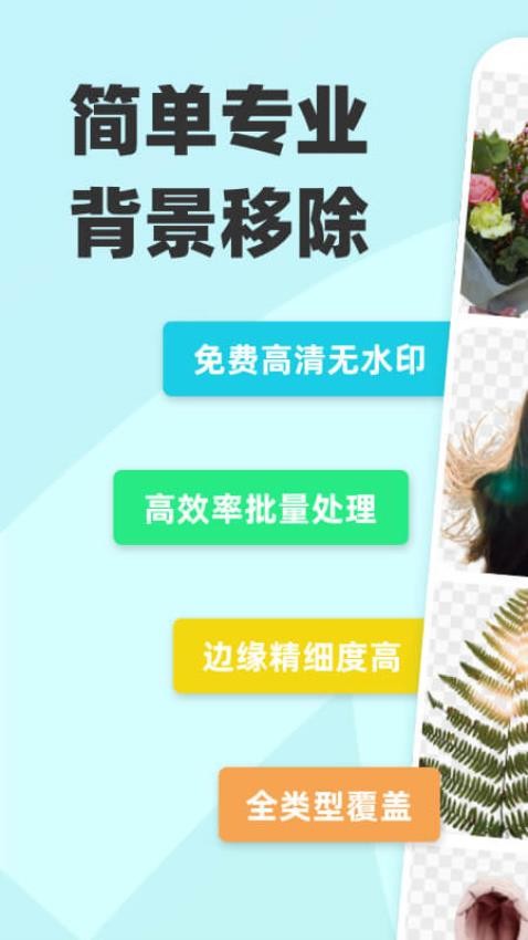 椰子设计无会员