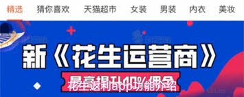 花生返利app如何使用