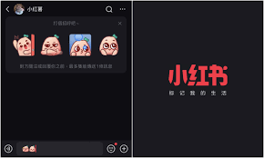 网页版小红书怎么私信他人