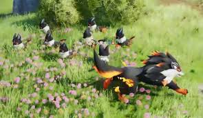 伊莫小炭犬怎么样