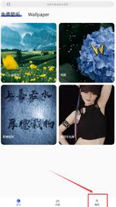 如何搜索彩虹主题壁纸