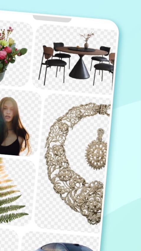 椰子设计定制版