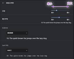 谷歌浏览器如何设置字体大小