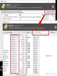 Recuva如何更改查看模式