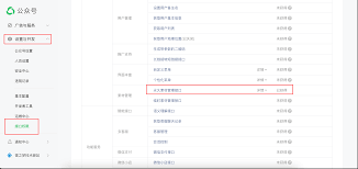 RayLink怎么设置会话水印
