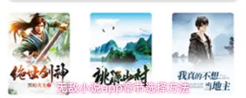 无敌小说app如何使用