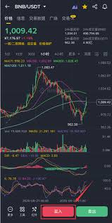 bnb未来能否涨到10万一个