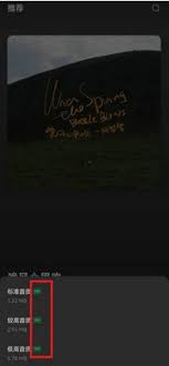 汽水音乐如何下载歌曲到U盘