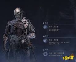 艾尔登法环黑夜君临执行者角色怎么玩