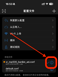 Safari地址栏输入被替换成搜索结果如何解决