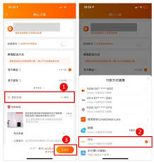 如何进行支付宝支付绑定与付款操作