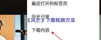 风芒如何进行投屏