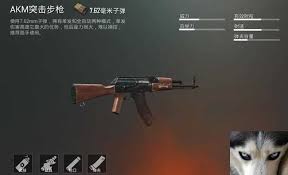 和平精英中哪款ak皮肤最好看