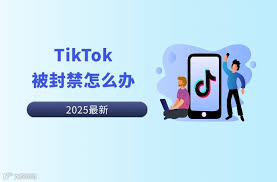 TikTok账号被封如何解决