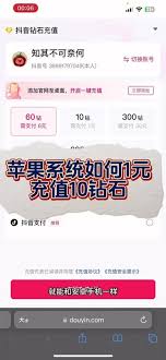 抖音充值钻石的钱可不可以退