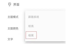 反思日记app如何设置暗黑主题
