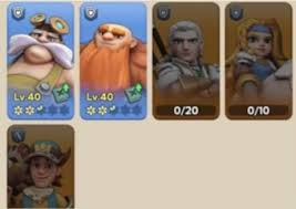 奔奔王国萨洛如何进行配队