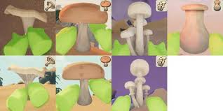 PEAK中如何分辨蘑菇有没有毒