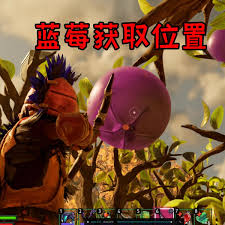 禁闭求生2蓝莓在哪获取