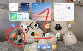 抖音ipad版怎么下载