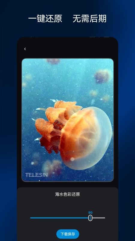 彩焦相机会员免登录