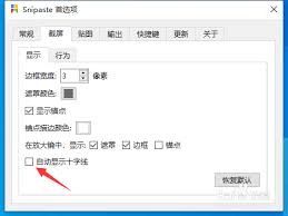 Snipaste截屏首选项如何设置